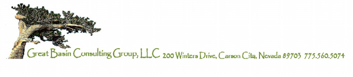 Great Basin Consulting Group, LLC